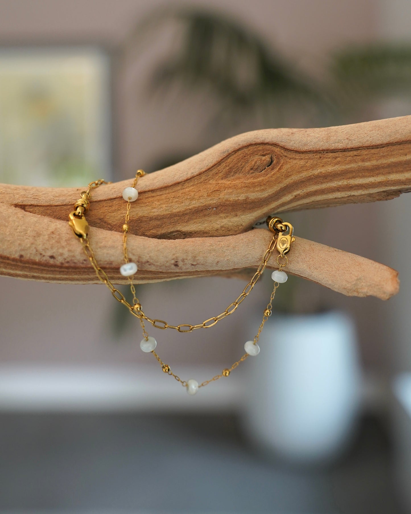 The Paloma Chain