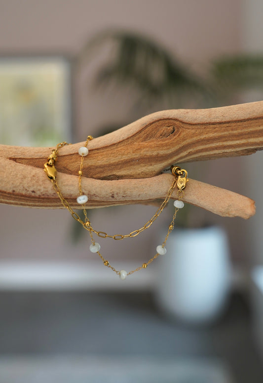 The Paloma Stack