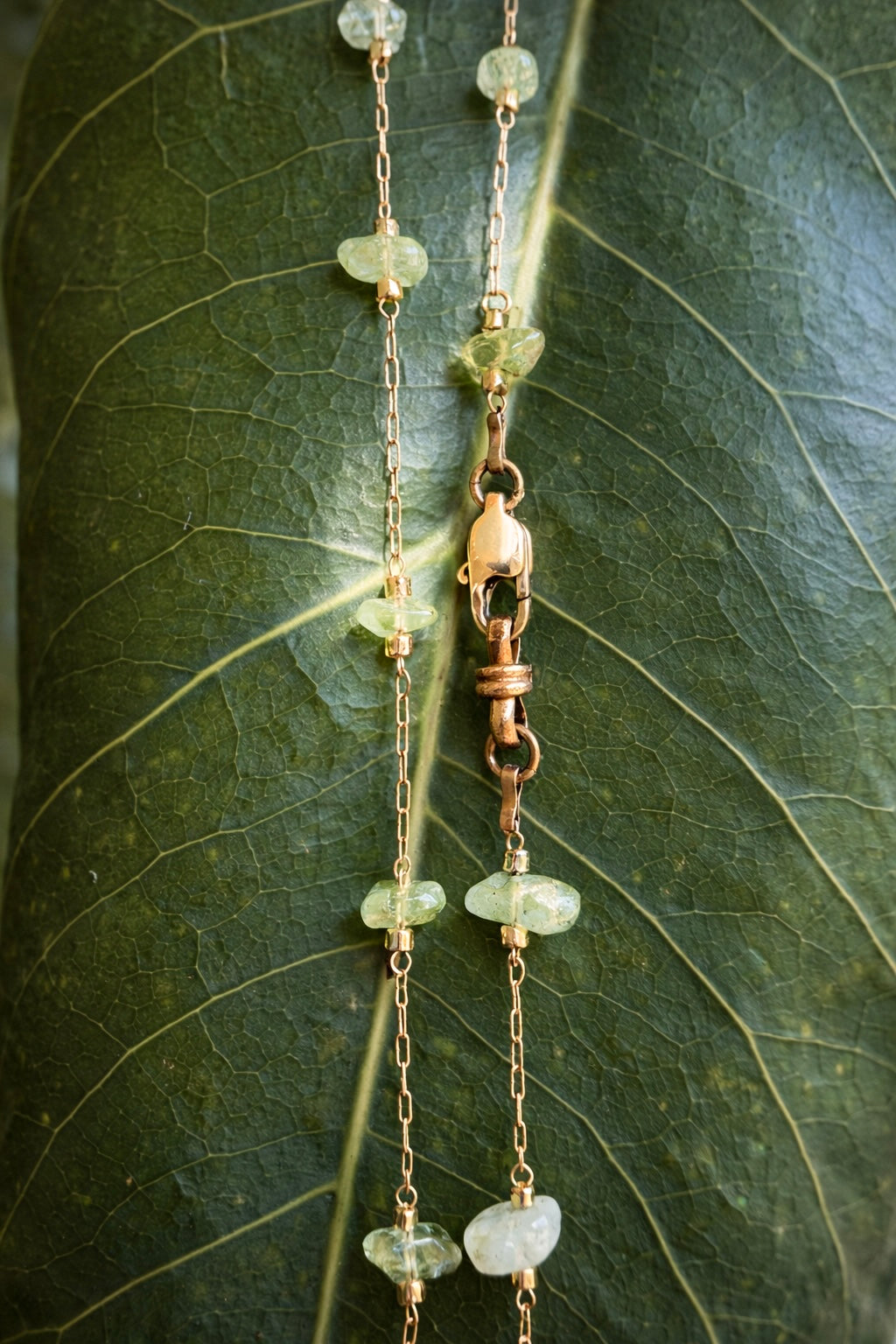 The Celestine Chain