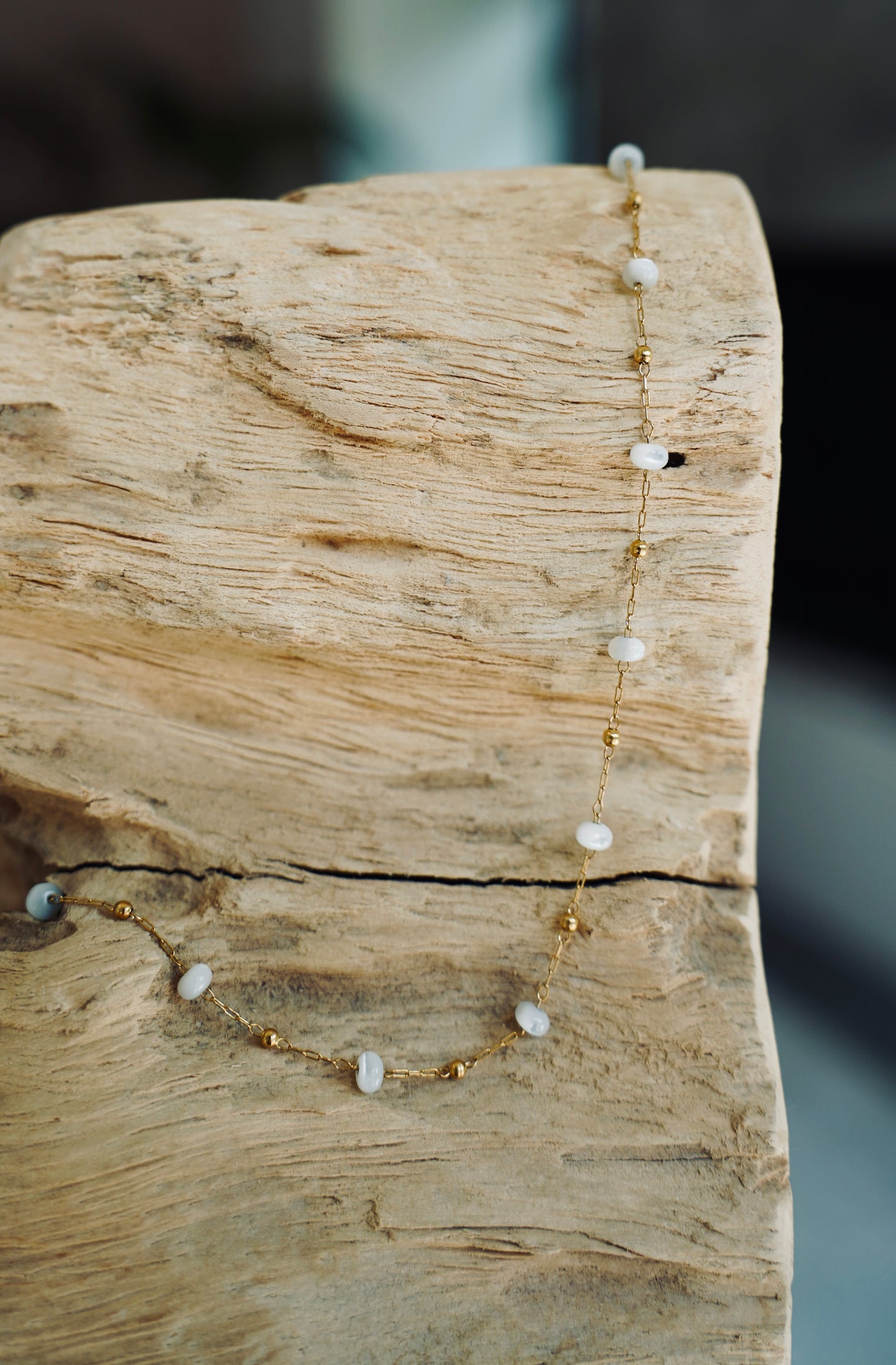 The Paloma Chain
