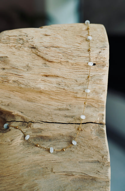 The Paloma Chain