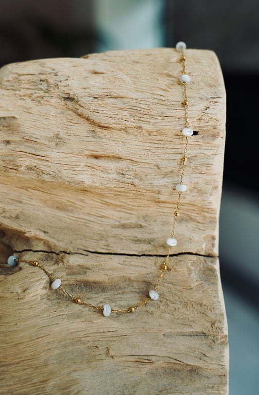 The Paloma Chain